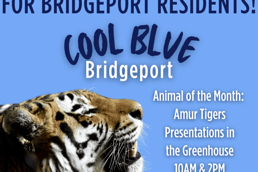 Free Saturday's at the Zoo for Bridgeport Residents 