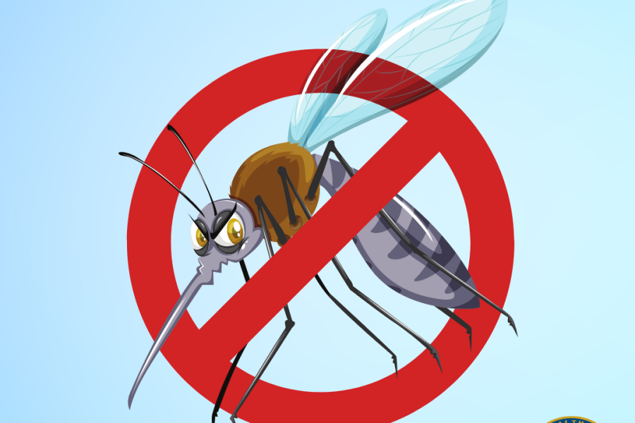 Stop Mosquitos from Ruining Your Summer title and a picture of a mosquito with a red circle and strikethrough overlay