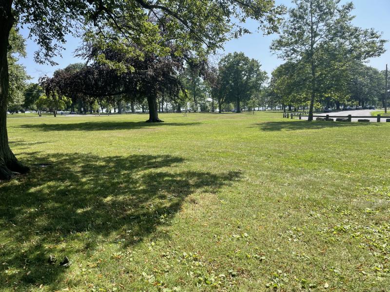 Large open park area with a lush green grass field with some shade from the large trees