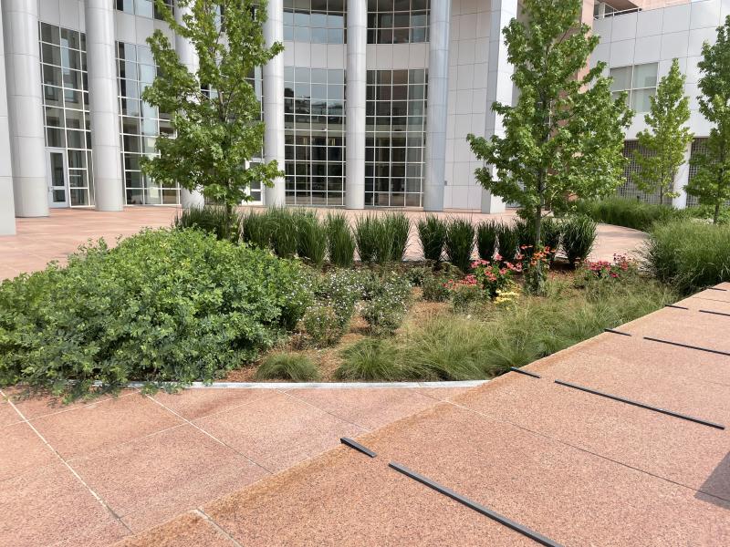 Very large flowering garden, depressed into the surrounding environment. Red brick pavers and a white building go around this garden. There are trees and flowering plants