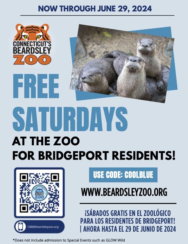 Flyer for Connecticut's Beardsley Zoo's "Cool Blue" Program, which offers free Saturday admission for Bridgeport residents until June 29, 2024