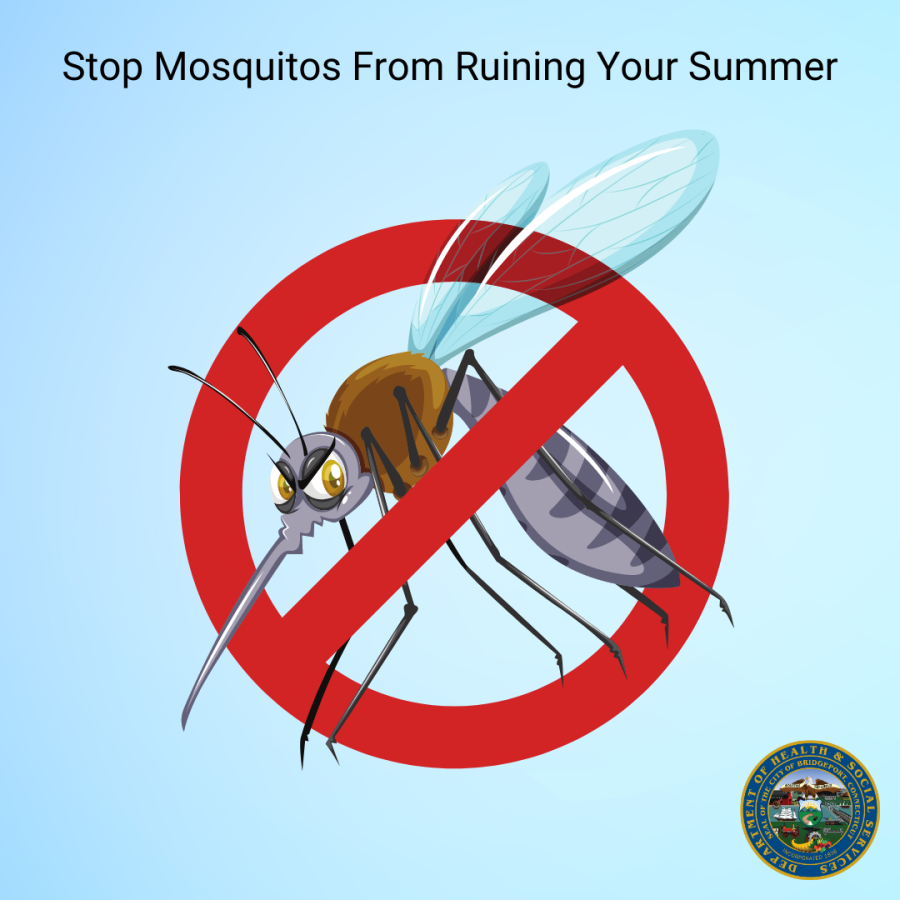 Stop Mosquitos from Ruining Your Summer title and a picture of a mosquito with a red circle and strikethrough overlay